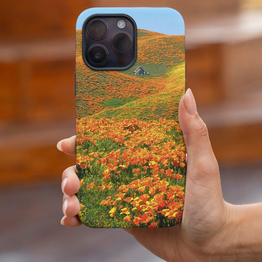 Warm, Whimsical, Wow – Welcome to Golden Valley