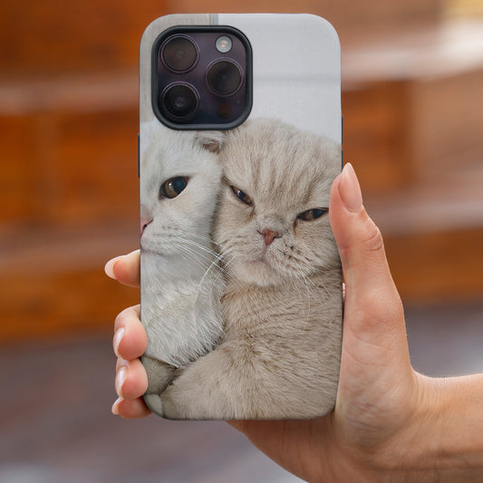Meow Moments – Catch the cuteness in every swipe.